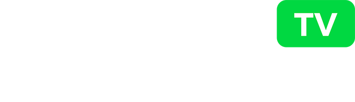 ngôi kể thứ 2 là gì
